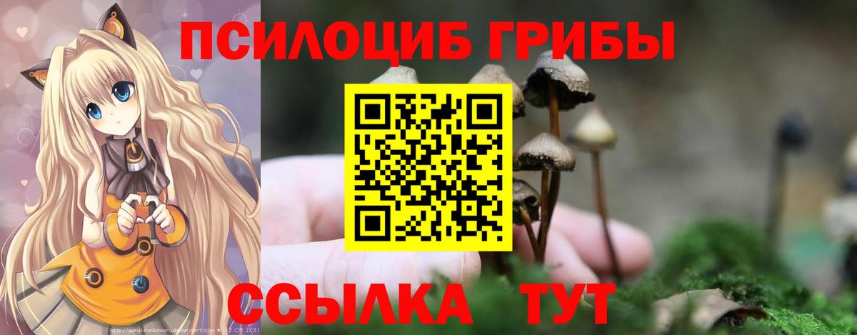 Псилоцибиновые грибы прущие грибы Серпухов