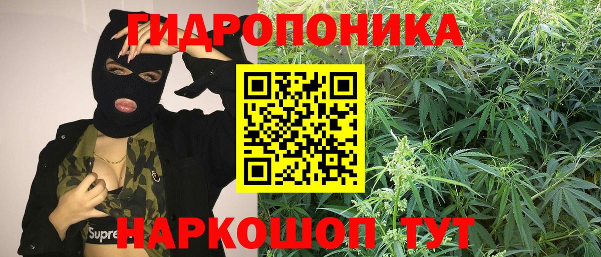 Бошки Шишки гибрид Серпухов